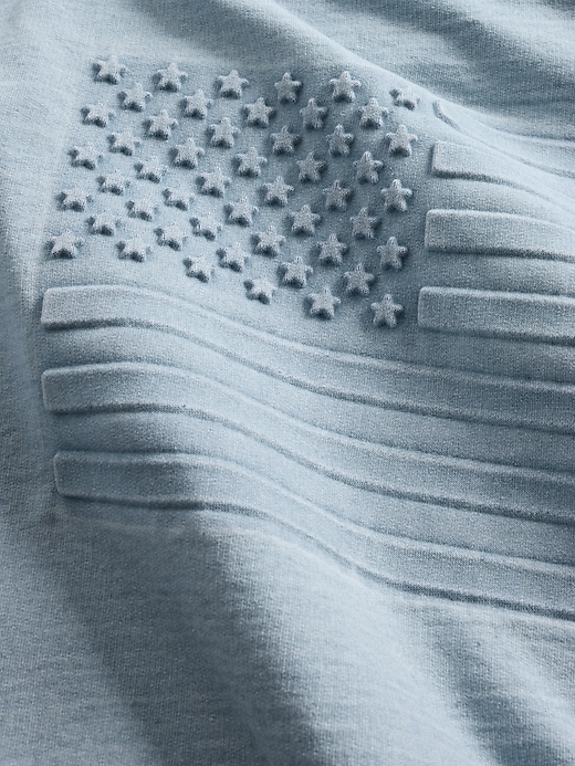 french terry americana cropped hoodie