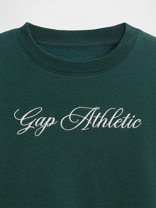 vintagesoft logo wedge sweatshirt