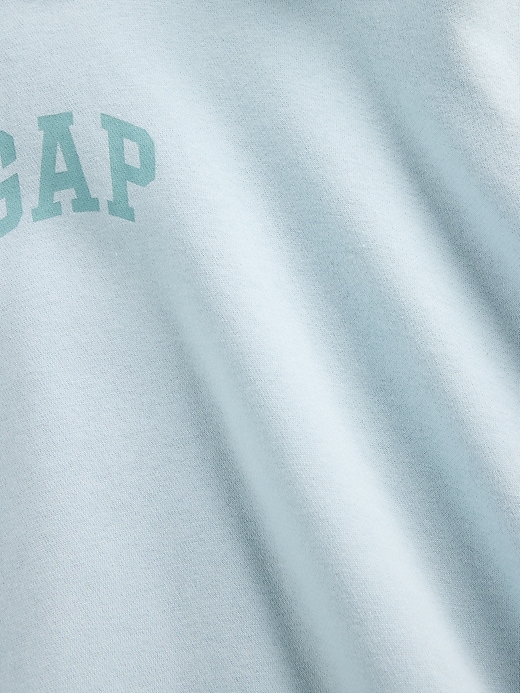 vintagesoft crop logo hoodie