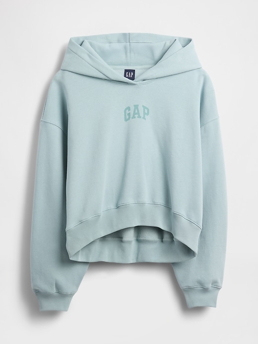 vintagesoft crop logo hoodie