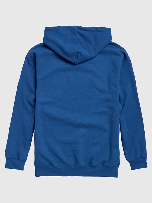 nfl signature script pullover hoodie