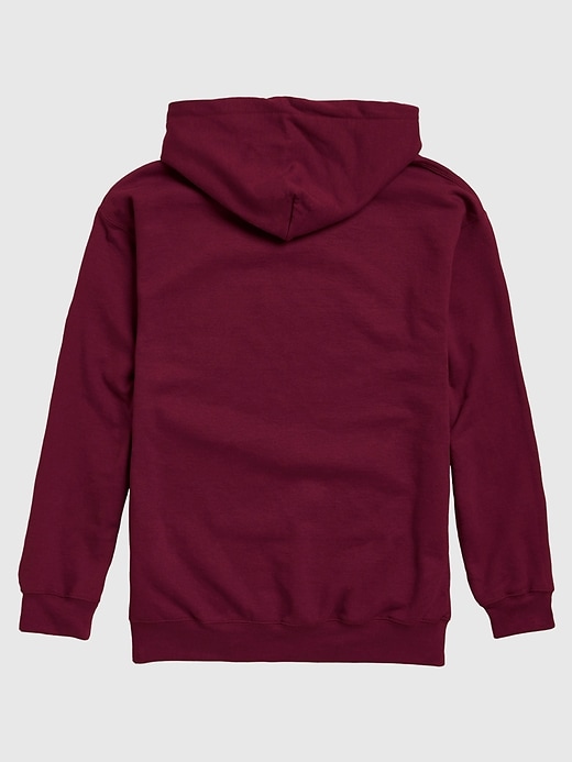 nfl signature script pullover hoodie