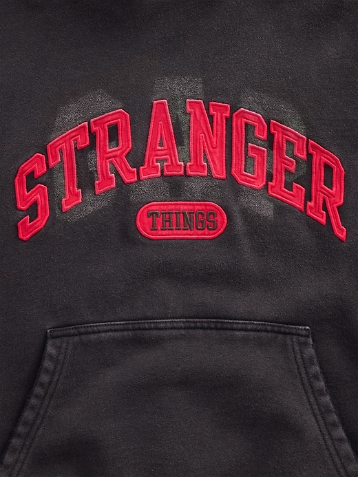 stranger things erwachsenen-hoodie schwere qualität